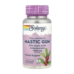 Mastic Gum Extract 500mg - 45 vcaps Solaray