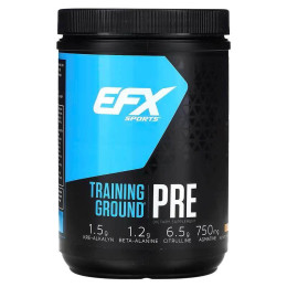 Предтренировочный комплекс EFX Sports Training Ground PRE 500 г, Orange Mango EFX Sports