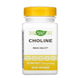 Nature's Way Choline 500 mg (100 veg caps)