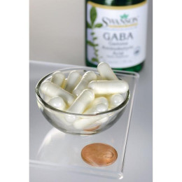 Гамма-аминомасляная кислота, GABA Gamma Aminobutyric Acid, Swanson, 250 мг, 60 капсул