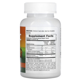 Витамин С для детей Nature's Plus (Children's chewable vitamin C, animal parade) 250 мг 90 жевательных таблеток со вкусом апельсина