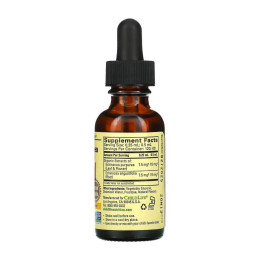 Echinacea Liquid Drops - 30ml ChildLife Essentials