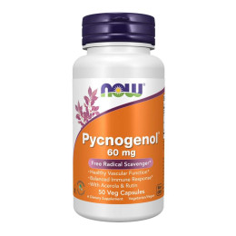 Pycnogenol® 60mg - 50 vcaps Now Foods