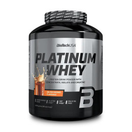BioTech Platinum Whey (2 kg, bourbon vanilla ice cream)