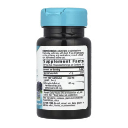 Bilberry - 60 vcaps Nature's Way