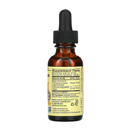 Echinacea Liquid Drops - 30ml (До 02.26) ChildLife Essentials