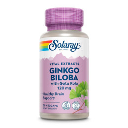Ginkgo Biloba Extract One 120mg - 30 vcaps Solaray