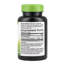 Choline 500 mg - 100 tabs Nature's Way