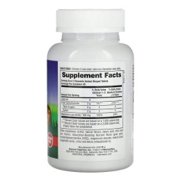 Kids Magnesium Chewable - 90 tabs Nature's Plus