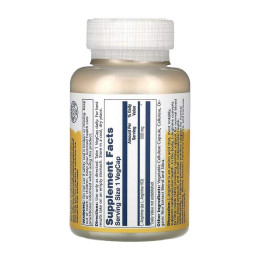 L-Arginine Free Form 500mg - 100 vcaps Solaray
