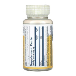 L-Theanine 200mg - 45 vcaps Solaray