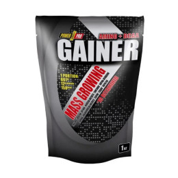 Gainer - 1000g Wild Berry (Пошкоджена упаковка) Power Pro