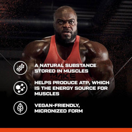 Креатин моногідрат Scitec Nutrition Creatine monohydrate 100% 300 g (Strawberry green tea) Scitec Nutrition