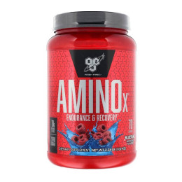 Комплекс амінокислот BSN Amino X 1010 g (Blue Raz) BSN
