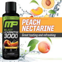 Карнітин Muscle Pharm Select L-Carnitine 3000 480 мл, Peach Nectarine MusclePharm