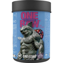 Креатин Zoomad Labs One Raw Creatine — 300 g (Wild Berries)