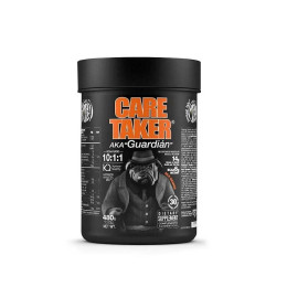 Амінокислотний комплекс Zoomad Labs Caretaker BCAA 480 г, Orange