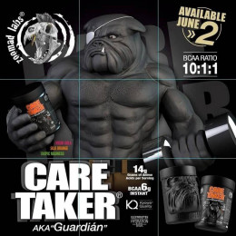 Амінокислотний комплекс Zoomad Labs Caretaker BCAA 480 г, Cola