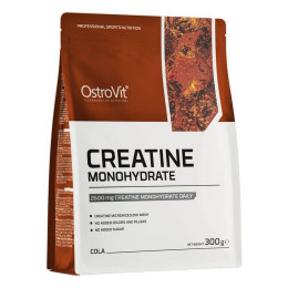 Креатин Creatine 300 g (Cherry) OstroVit