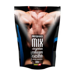 Протеїн Protein MIX 1000g (Циннамон) Power Pro