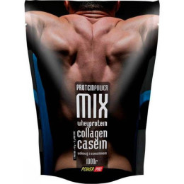 Протеин Protein MIX 1000g (Альпійська рапсодія) Power Pro