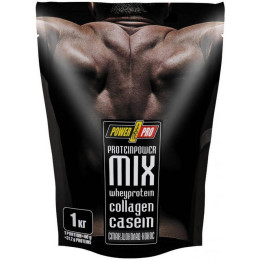 Протеин Protein MIX 1000g (Шоколад кокос) Power Pro