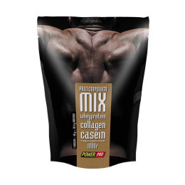 Протеїн Protein MIX 1000g (Медове печиво) Power Pro
