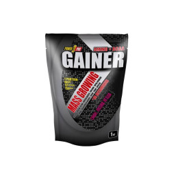 Гейнер GAINER 1000g (Лісова ягода) Power Pro