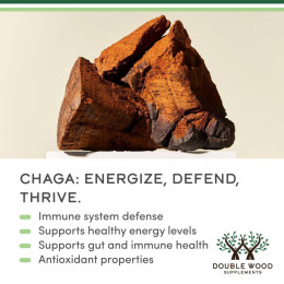 Экстракт чаги Double Wood Supplements Chaga Mushroom 1000 mg — 120 caps Double Wood Supplements