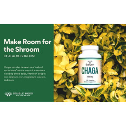 Экстракт чаги Double Wood Supplements Chaga Mushroom 1000 mg — 120 caps Double Wood Supplements