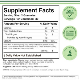 Грибной комплекс Double Wood Supplements Mushroom Gummies — 60 gummies Double Wood Supplements