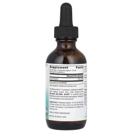 Колоїдне срібло Source Naturals Wellness Colloidal Silver™, 45 PPM, 59.14 ml Source Naturals