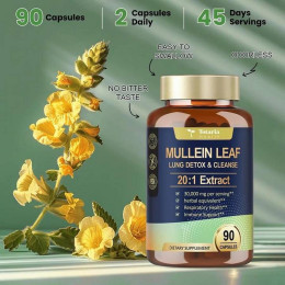 Екстракт коров’яку Totaria Health Mullein Leaf Lung & Cleanse 20:1 extract 90 caps 45 serv