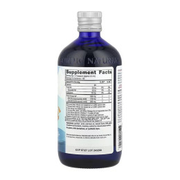 Children's DHA - 473 ml (Затерта дата) Nordic Naturals