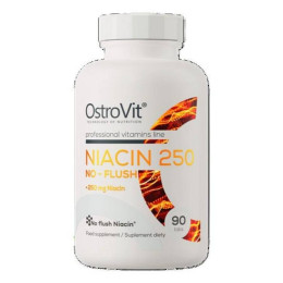 Ніацин Ostrovit Niacin 250 NO-FLUSH 90 tablets OstroVit