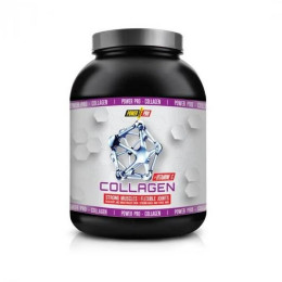 Colagen 310g (Барбарис) Power Pro